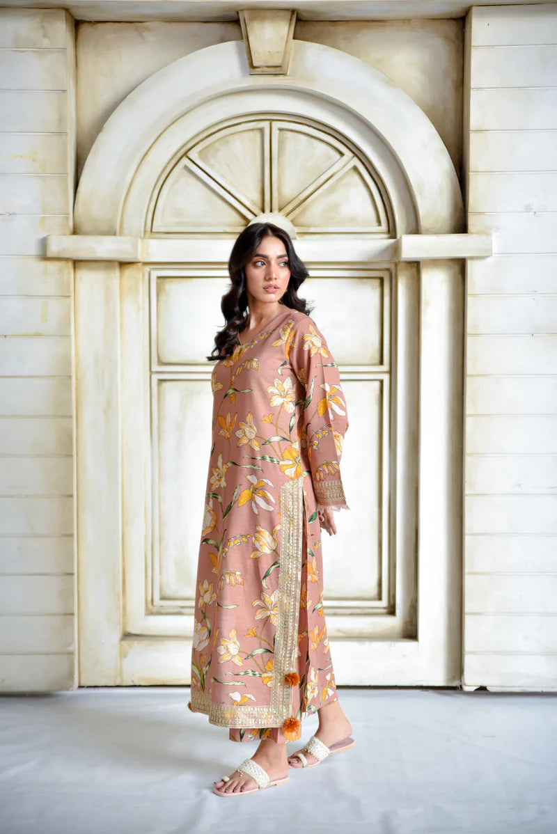 Ethnic Flair | 2 - Piece stitched Suit